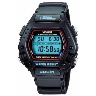 Casio DW290-1V