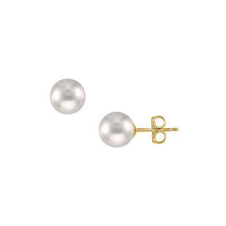 Akoya Cultured Pearl Stud Earrings : 14K Yellow Gold  11 MM