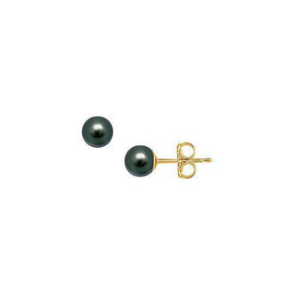 Akoya Cultured Pearl Stud Earrings : 14K Yellow Gold  5 MM