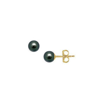 Akoya Cultured Pearl Stud Earrings : 14K Yellow Gold  6 MM