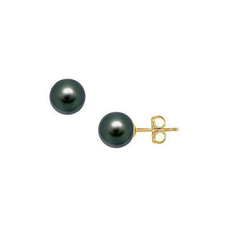 Akoya Cultured Pearl Stud Earrings : 14K Yellow Gold  11 MM