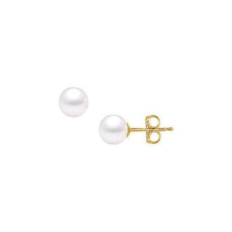 Akoya Cultured Pearl Stud Earrings : 14K Yellow Gold  8 MM