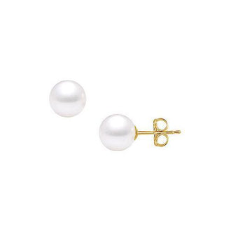 Akoya Cultured Pearl Stud Earrings : 14K Yellow Gold  11 MM