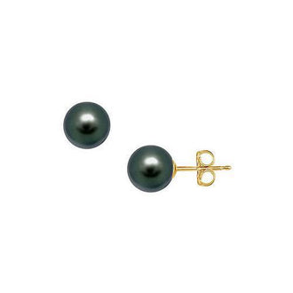 Tahitian Pearl Stud Earrings : 18K Yellow Gold  12 MM