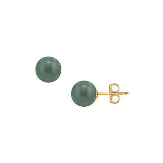 Tahitian Pearl Stud Earrings : 18K Yellow Gold  12 MM