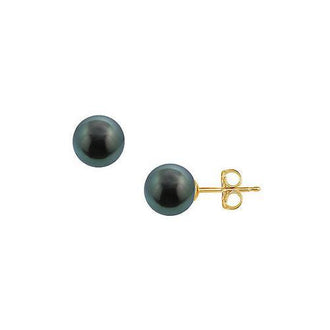 Tahitian Pearl Stud Earrings : 18K Yellow Gold  11 MM