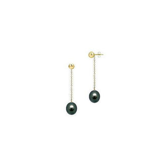 Black Akoya Cultured Pearl Earrings : 14K Yellow Gold  7 MM